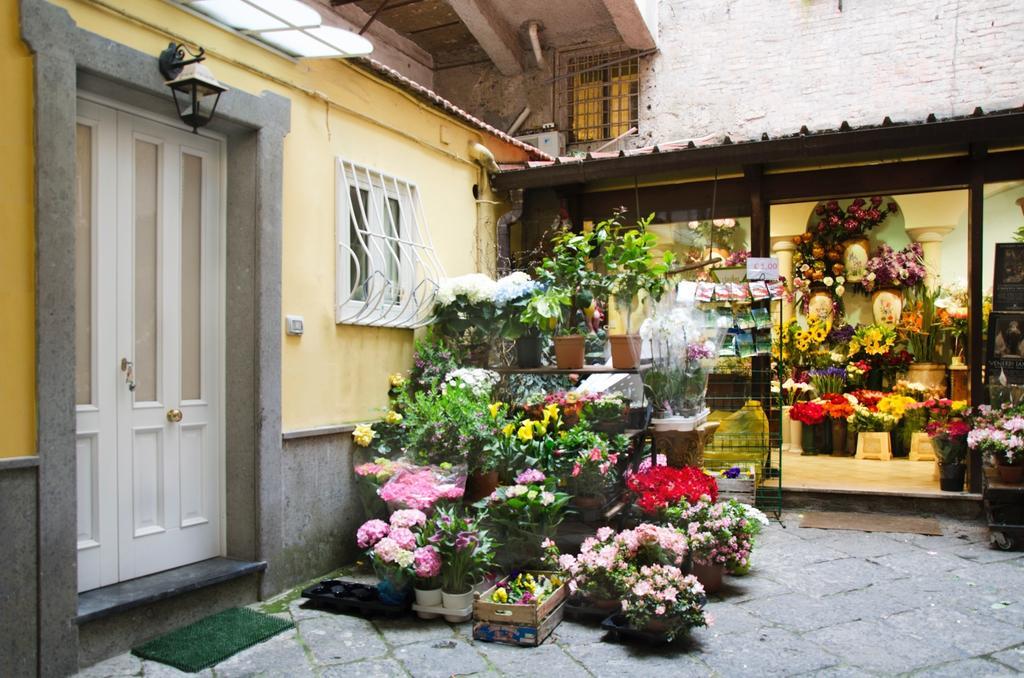Casa Tonia San Cesareo Leilighet Sorrento Rom bilde
